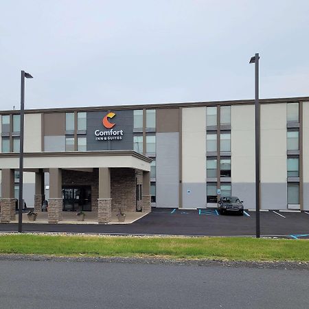 Comfort Inn & Suites Wyomissing-Reading Екстер'єр фото