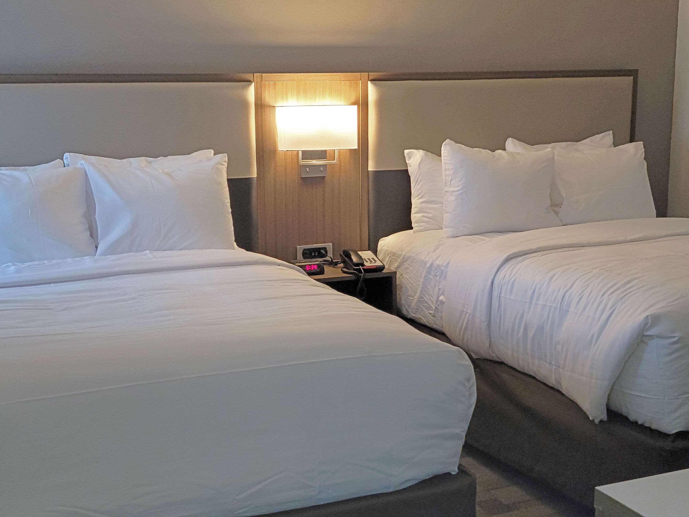 Comfort Inn & Suites Wyomissing-Reading Екстер'єр фото